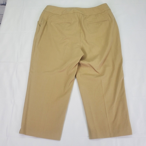 Investmen's Petite Women's  Pants Striped Dress Pants Capris Gold Tan Size 8P - Picture 2 of 4